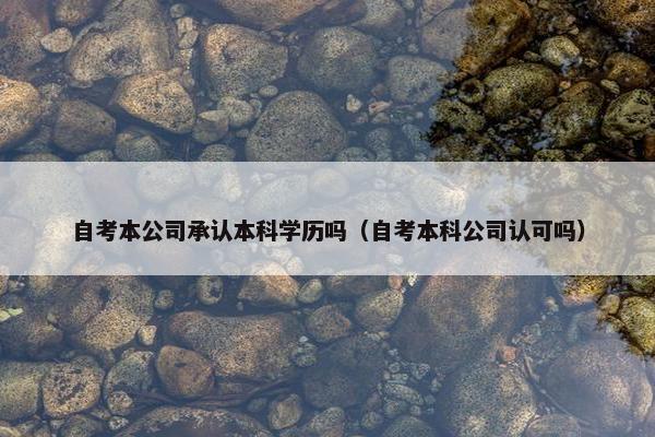 自考本公司承认本科学历吗（自考本科公司认可吗）