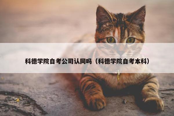 科德学院自考公司认同吗（科德学院自考本科）