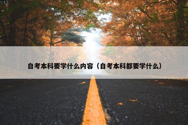 自考本科要学什么内容（自考本科都要学什么）