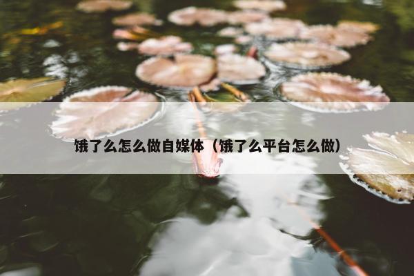 饿了么怎么做自媒体（饿了么平台怎么做）