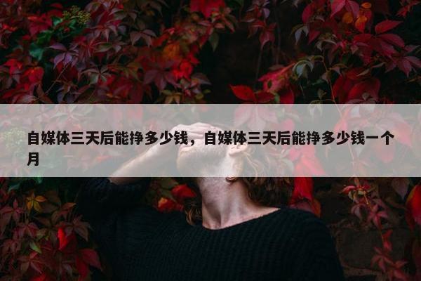 自媒体三天后能挣多少钱，自媒体三天后能挣多少钱一个月