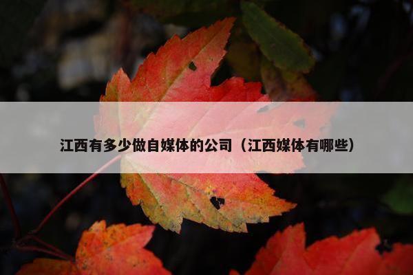 江西有多少做自媒体的公司（江西媒体有哪些）