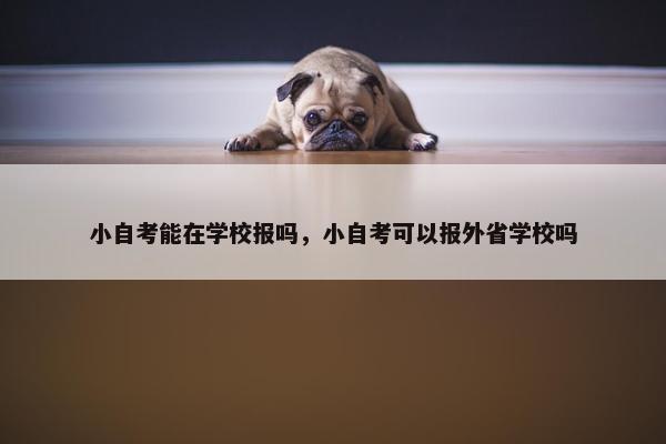 小自考能在学校报吗，小自考可以报外省学校吗