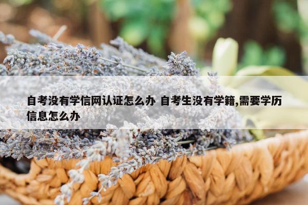 自考没有学信网认证怎么办 自考生没有学籍,需要学历信息怎么办