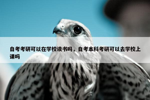 自考考研可以在学校读书吗，自考本科考研可以去学校上课吗