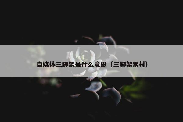 自媒体三脚架是什么意思（三脚架素材）