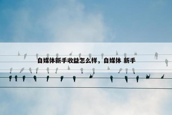 自媒体新手收益怎么样，自媒体 新手