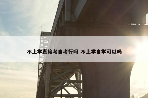 不上学直接考自考行吗 不上学自学可以吗