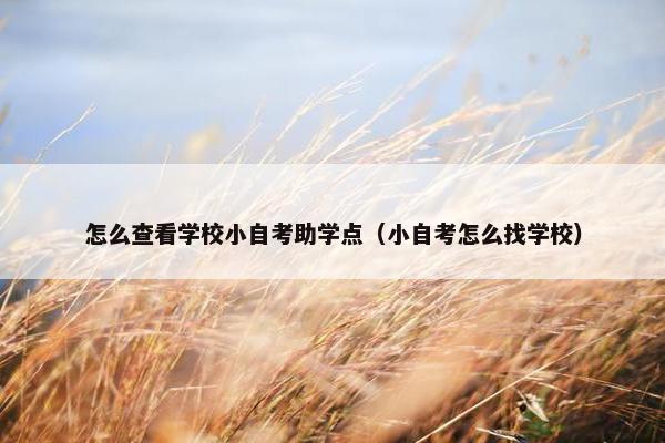 怎么查看学校小自考助学点（小自考怎么找学校）