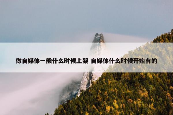 做自媒体一般什么时候上架 自媒体什么时候开始有的