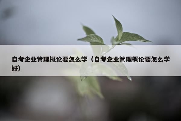 自考企业管理概论要怎么学（自考企业管理概论要怎么学好）