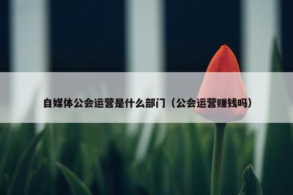 自媒体公会运营是什么部门（公会运营赚钱吗）