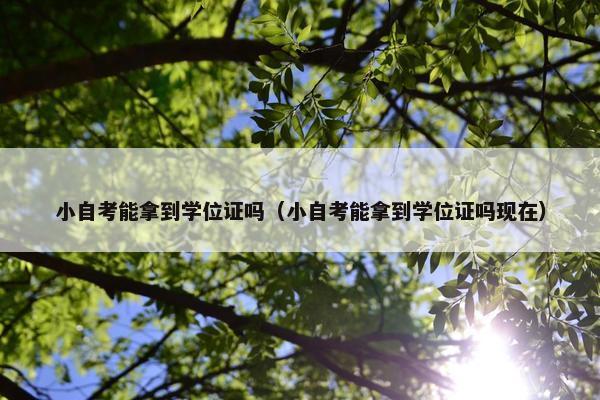 小自考能拿到学位证吗（小自考能拿到学位证吗现在）