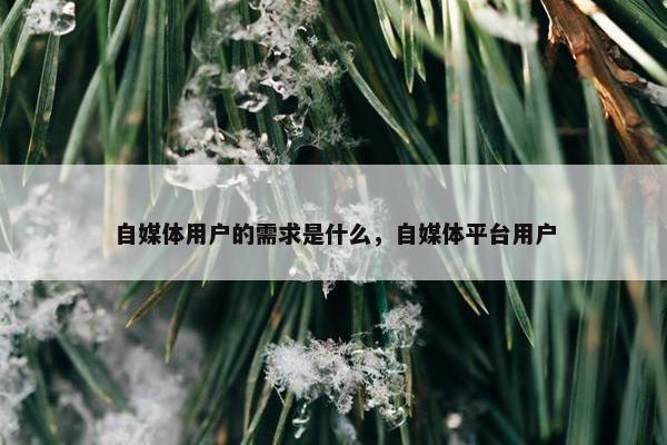 自媒体用户的需求是什么，自媒体平台用户