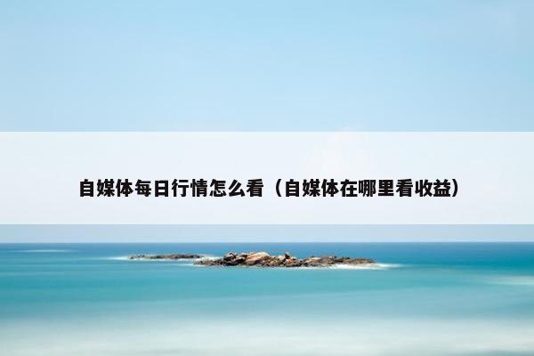 自媒体每日行情怎么看（自媒体在哪里看收益）