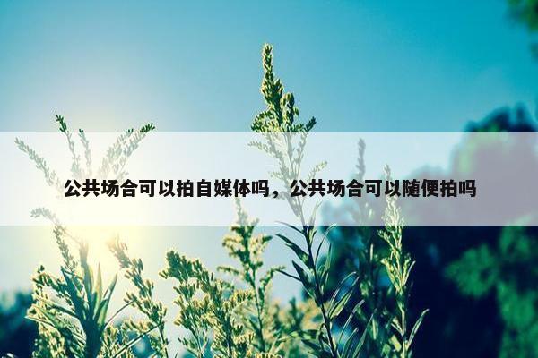 公共场合可以拍自媒体吗，公共场合可以随便拍吗