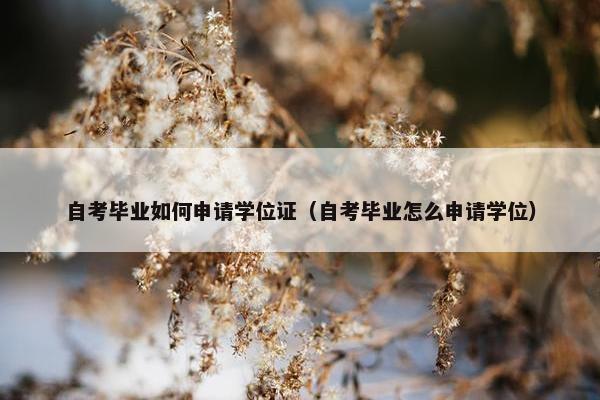 自考毕业如何申请学位证（自考毕业怎么申请学位）