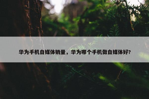 华为手机自媒体销量，华为哪个手机做自媒体好?