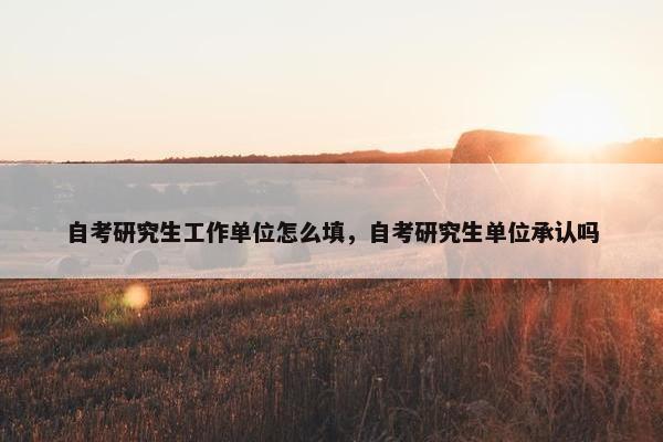 自考研究生工作单位怎么填，自考研究生单位承认吗