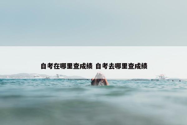 自考在哪里查成绩 自考去哪里查成绩