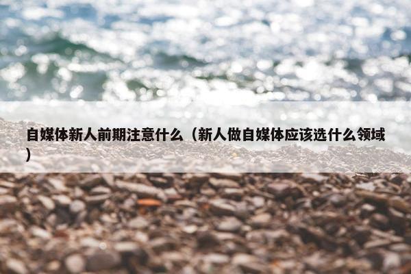 自媒体新人前期注意什么（新人做自媒体应该选什么领域）