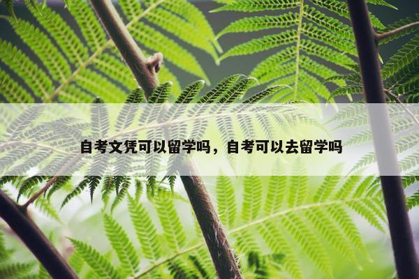 自考文凭可以留学吗，自考可以去留学吗