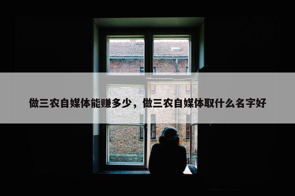 做三农自媒体能赚多少，做三农自媒体取什么名字好