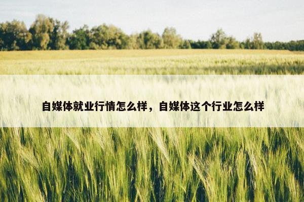 自媒体就业行情怎么样，自媒体这个行业怎么样