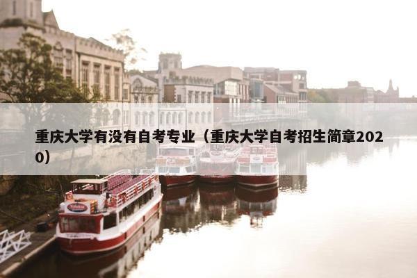 重庆大学有没有自考专业（重庆大学自考招生简章2020）