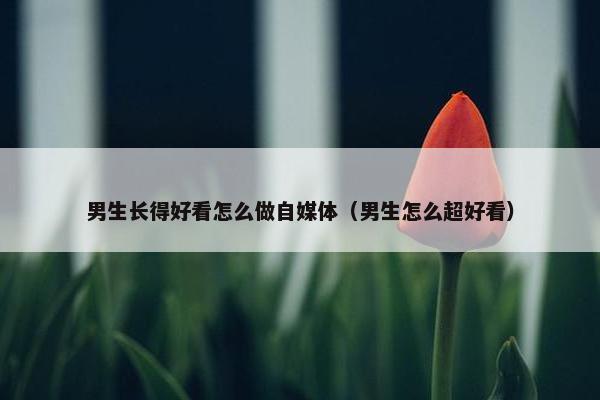 男生长得好看怎么做自媒体（男生怎么超好看）