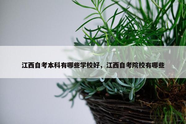 江西自考本科有哪些学校好，江西自考院校有哪些