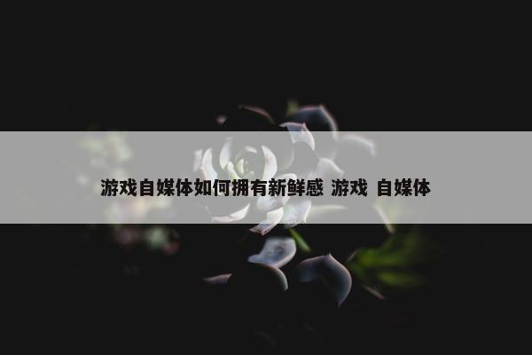 游戏自媒体如何拥有新鲜感 游戏 自媒体