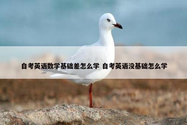 自考英语数学基础差怎么学 自考英语没基础怎么学