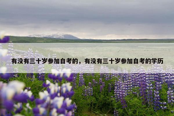 有没有三十岁参加自考的，有没有三十岁参加自考的学历