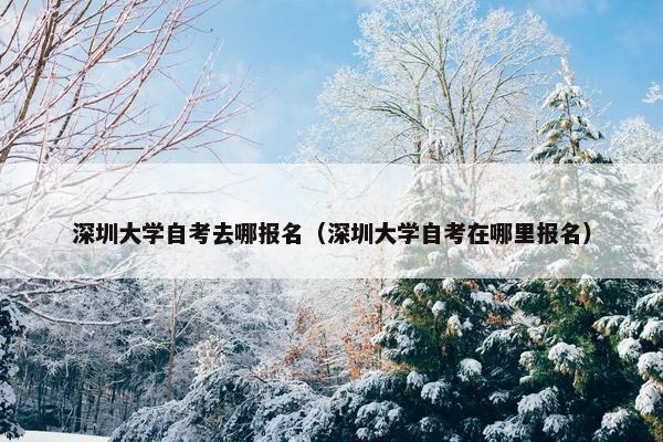 深圳大学自考去哪报名（深圳大学自考在哪里报名）