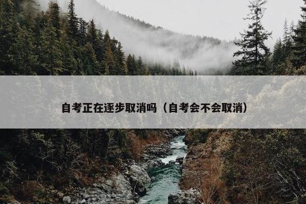 自考正在逐步取消吗（自考会不会取消）