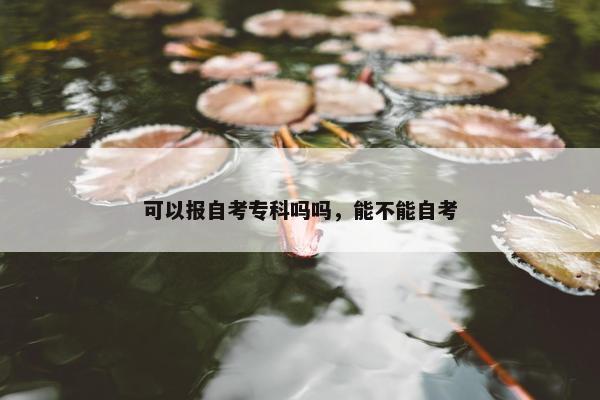 可以报自考专科吗吗，能不能自考