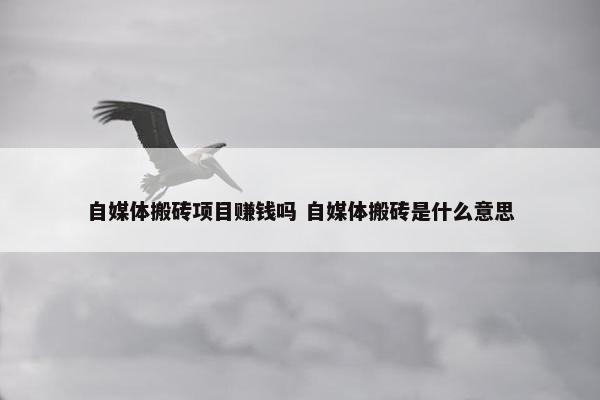 自媒体搬砖项目赚钱吗 自媒体搬砖是什么意思