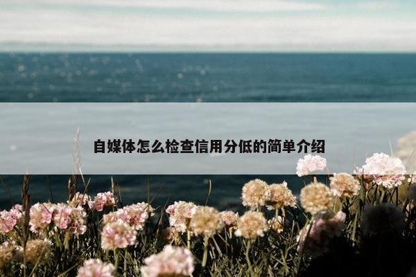 自媒体怎么检查信用分低的简单介绍