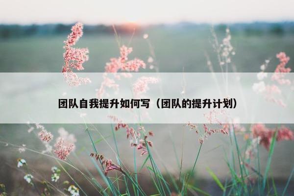 团队自我提升如何写（团队的提升计划）