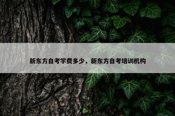 新东方自考学费多少，新东方自考培训机构