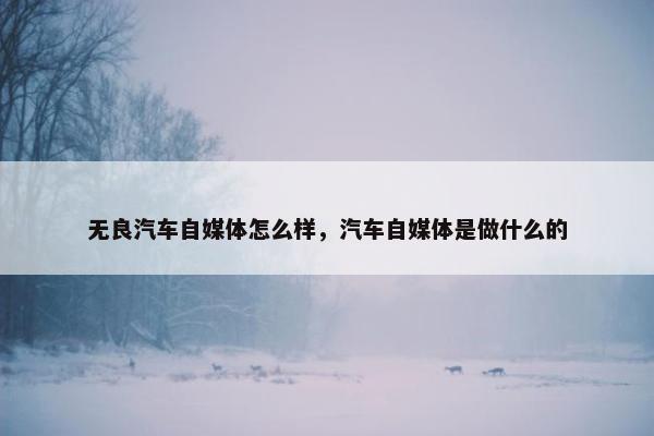 无良汽车自媒体怎么样，汽车自媒体是做什么的