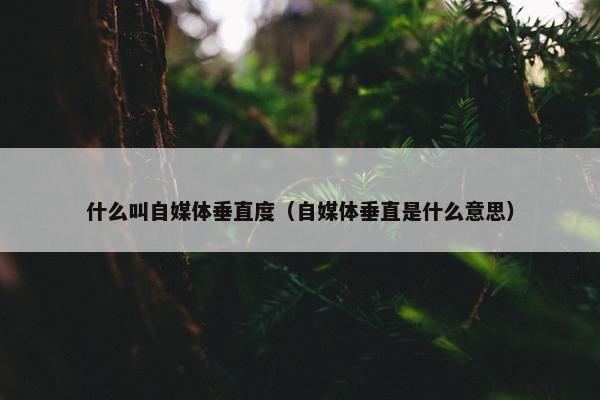 什么叫自媒体垂直度（自媒体垂直是什么意思）