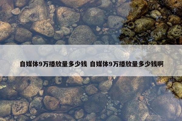 自媒体9万播放量多少钱 自媒体9万播放量多少钱啊