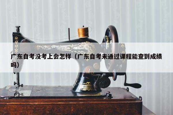 广东自考没考上会怎样（广东自考未通过课程能查到成绩吗）