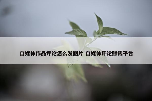 自媒体作品评论怎么发图片 自媒体评论赚钱平台