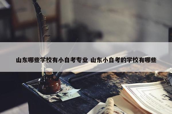 山东哪些学校有小自考专业 山东小自考的学校有哪些