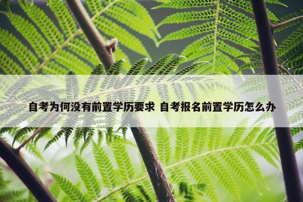 自考为何没有前置学历要求 自考报名前置学历怎么办