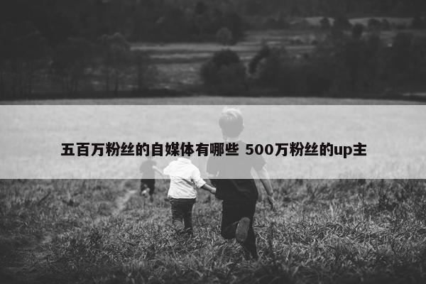 五百万粉丝的自媒体有哪些 500万粉丝的up主