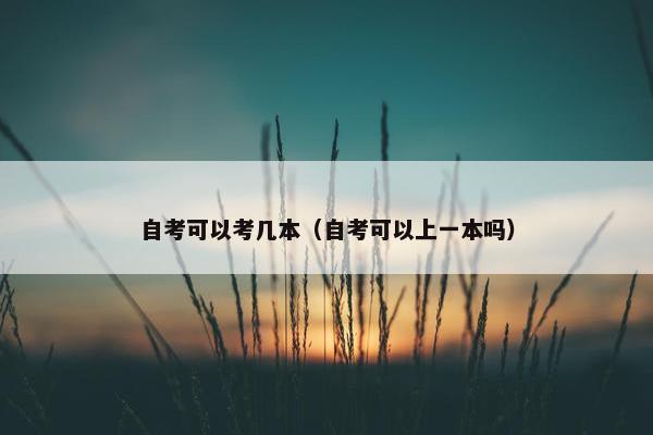 自考可以考几本（自考可以上一本吗）